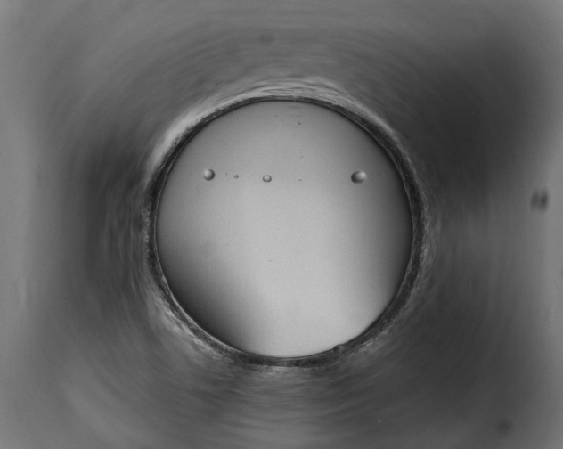 X0000115631506200911241635