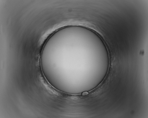 X0000115631507200911241635