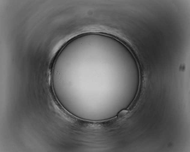 X0000115631509200911241635