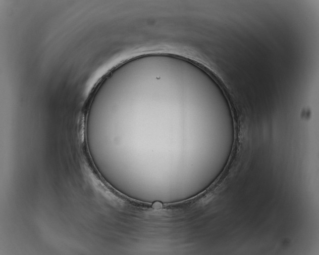 X0000115631510200911241635