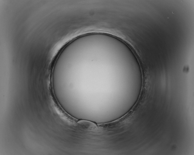 X0000115631511200911241635