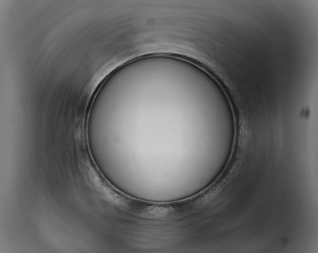 X0000115631513200911241635