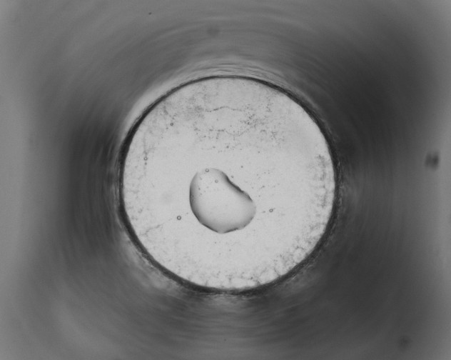 X0000115631514200911241635