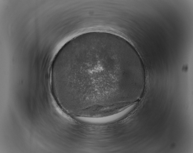 X0000115631515200911241635