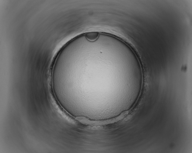 X0000115631517200911241635