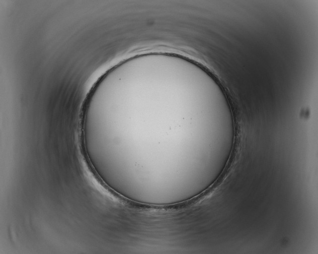 X0000115631518200911241635