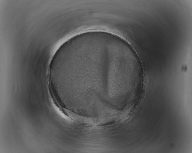 X0000115631519200911241635