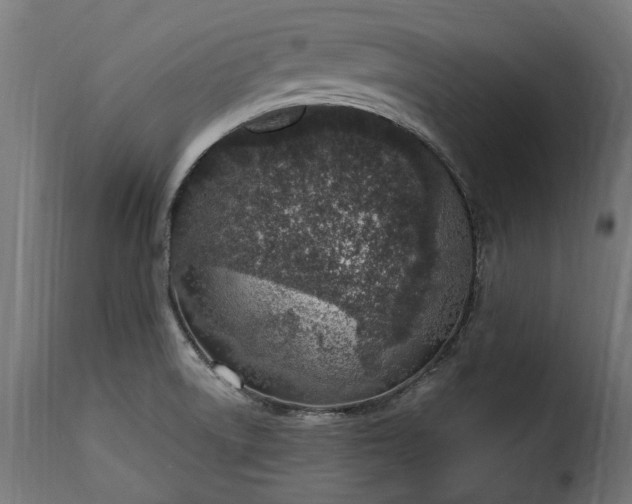 X0000115631522200911241635