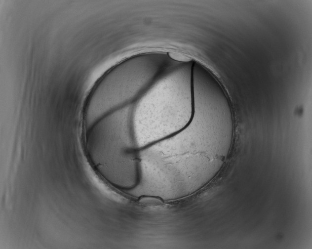 X0000115631523200911241635