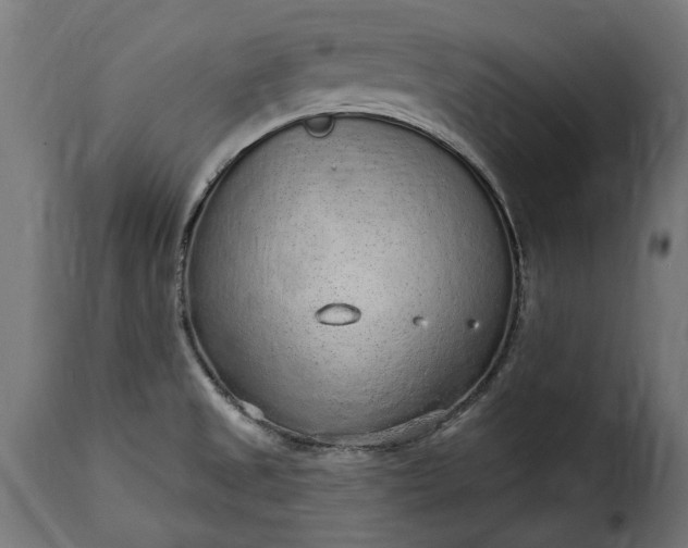 X0000115631525200911241635