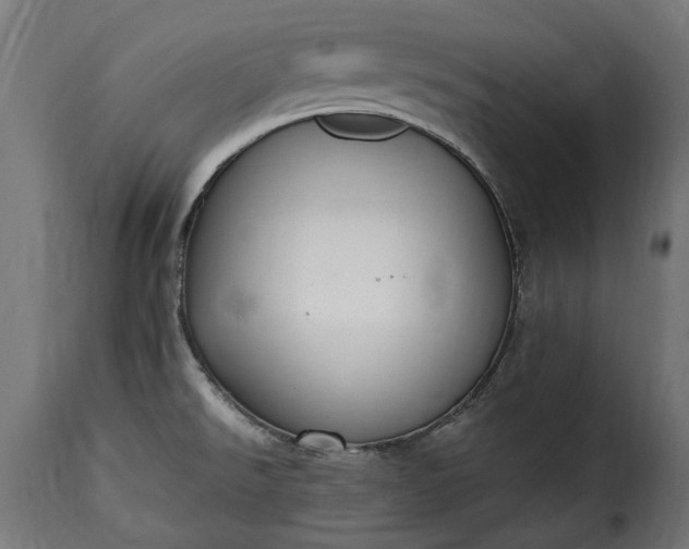 X0000115631526200911241635