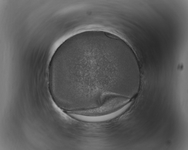 X0000115631527200911241635