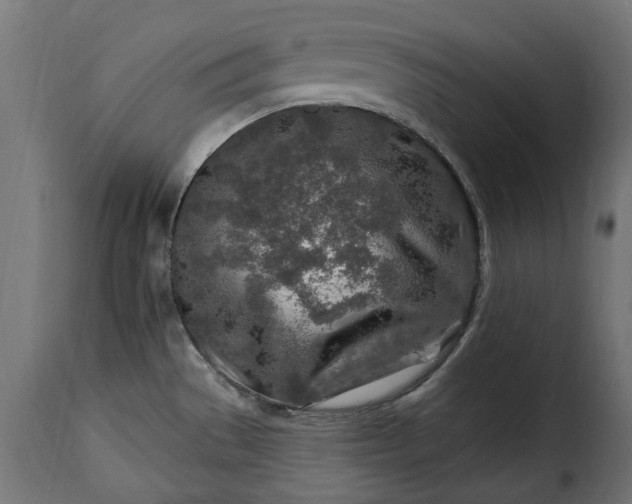 X0000115631529200911241635