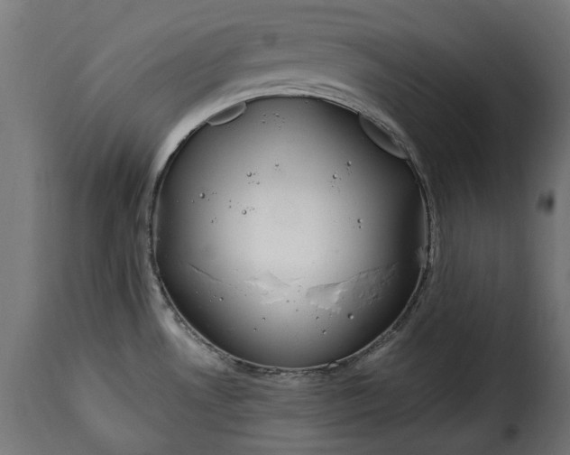 X0000115631530200911241635