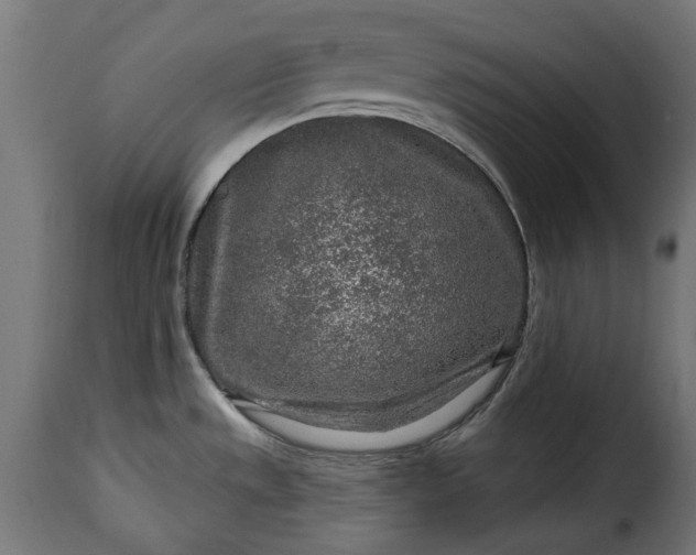 X0000115631533200911241635