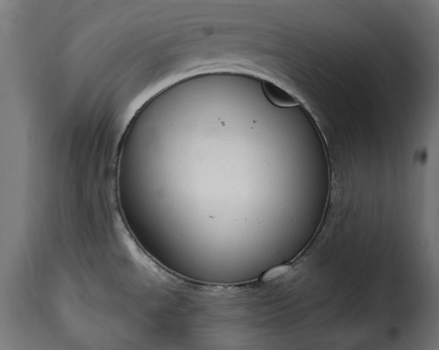 X0000115631534200911241635