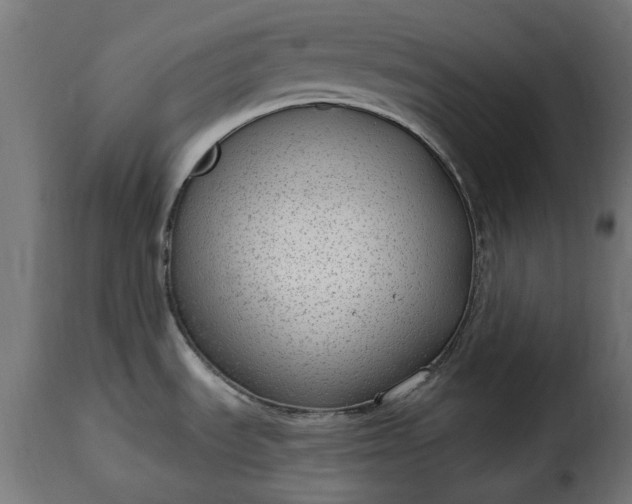 X0000115631535200911241635