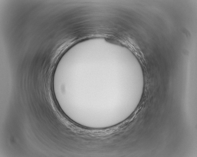 X0000115630001200912011450