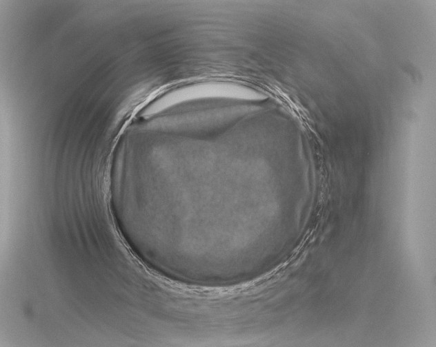 X0000115630002200912011450