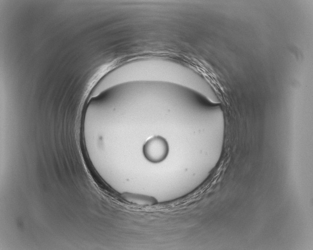 X0000115630003200912011450