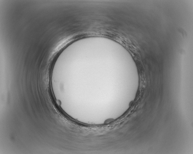 X0000115630005200912011450