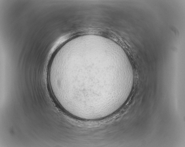 X0000115630006200912011450