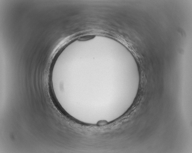 X0000115630007200912011450