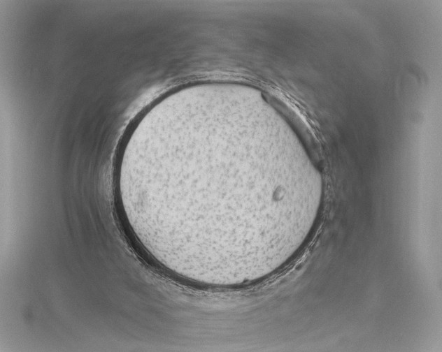 X0000115630008200912011450