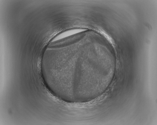 X0000115630009200912011450