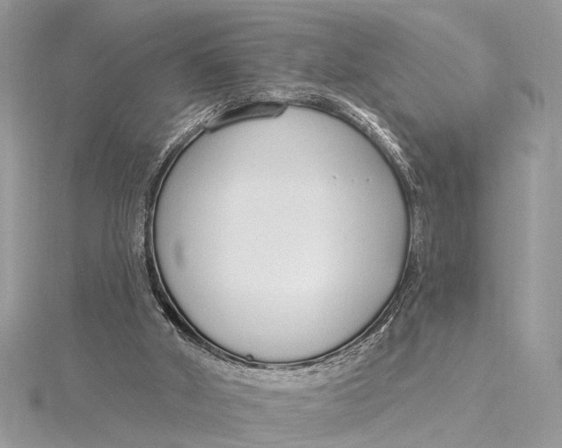 X0000115630010200912011450