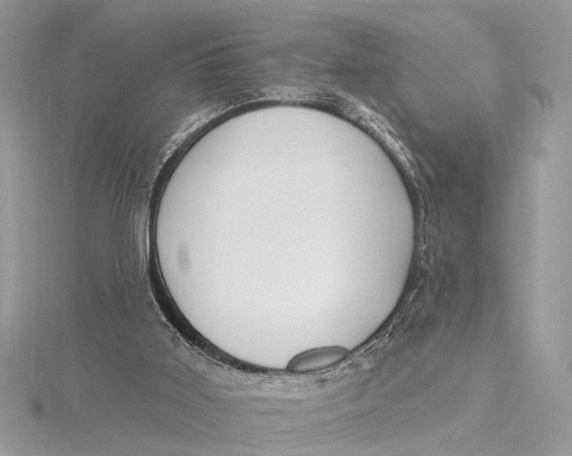 X0000115630011200912011450