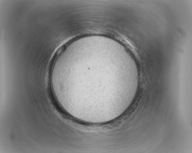 X0000115630012200912011450