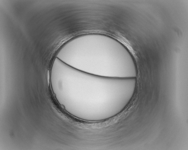 X0000115630013200912011450