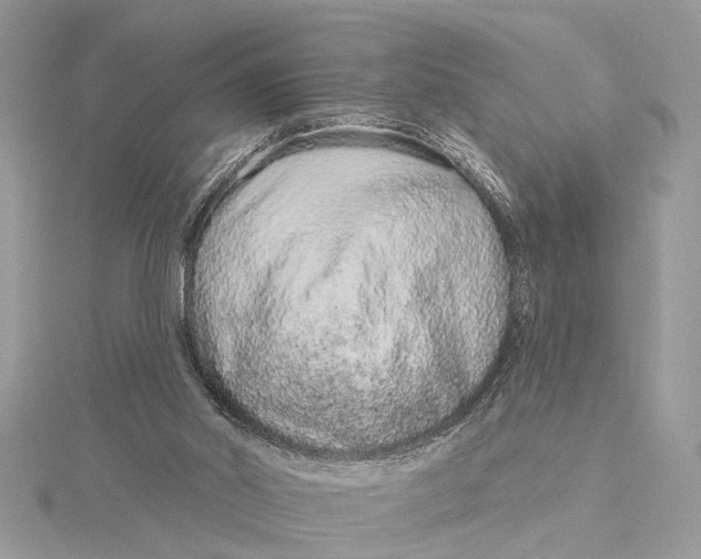 X0000115630014200912011450