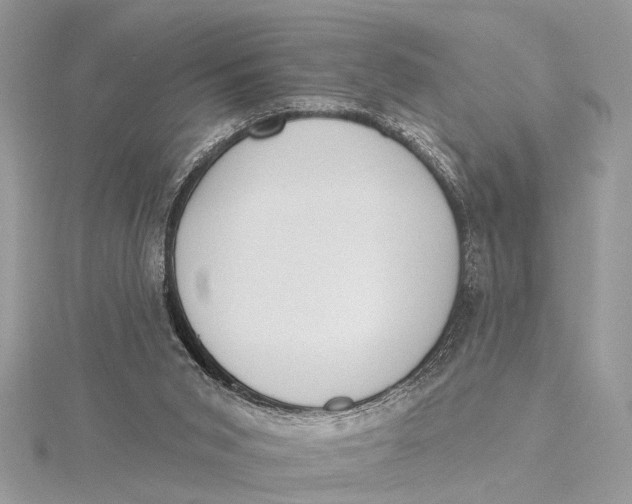 X0000115630015200912011450