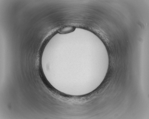 X0000115630016200912011450