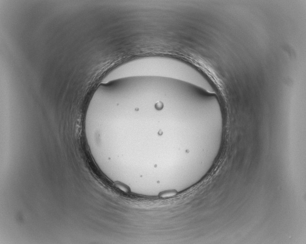 X0000115630017200912011450