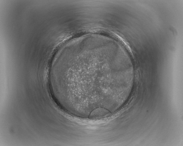 X0000115630018200912011450