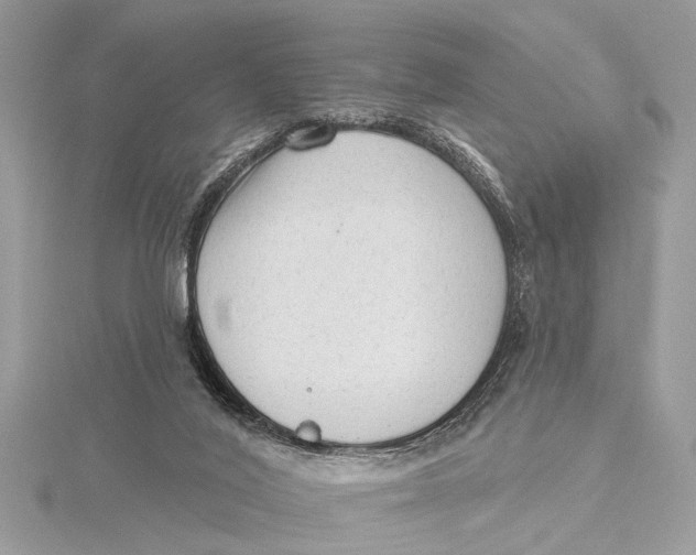 X0000115630020200912011450