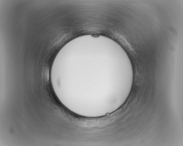 X0000115630021200912011450