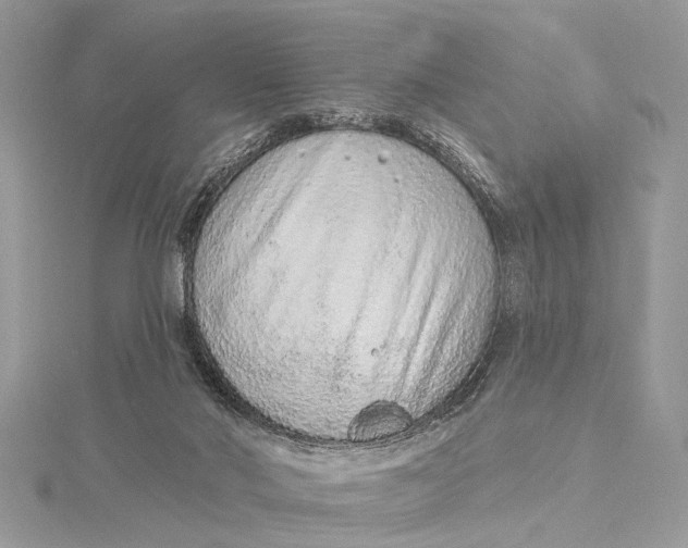 X0000115630022200912011450