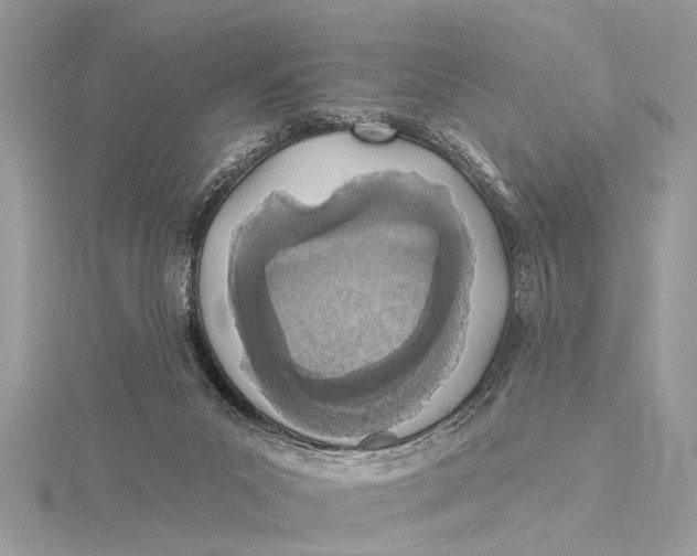 X0000115630023200912011450