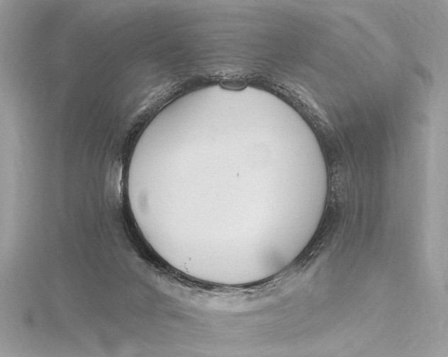 X0000115630024200912011450