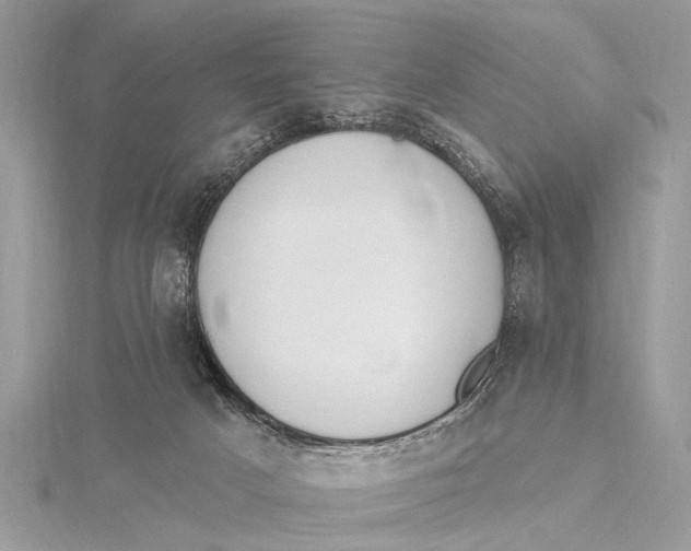 X0000115630025200912011450