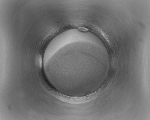 X0000115630027200912011450