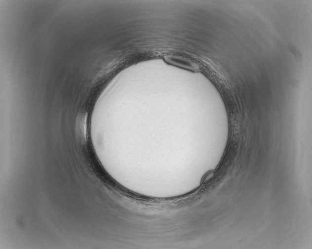 X0000115630028200912011450