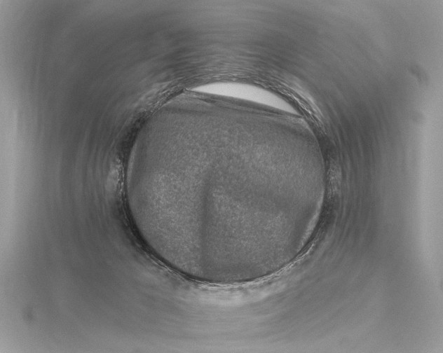 X0000115630029200912011450