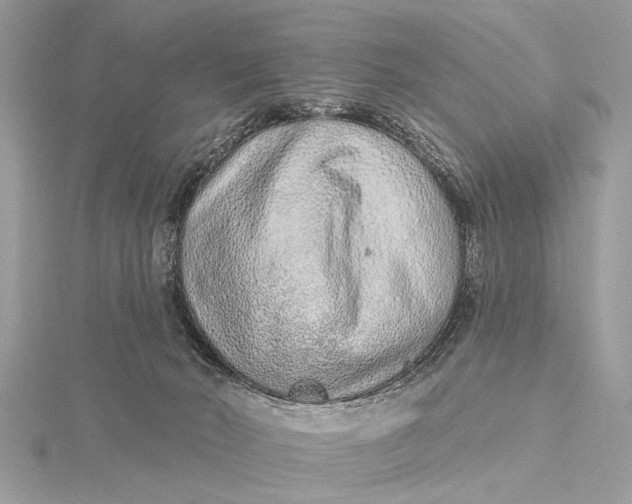 X0000115630030200912011450