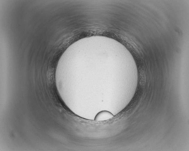 X0000115630034200912011450