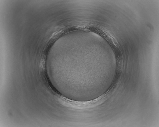 X0000115630035200912011450